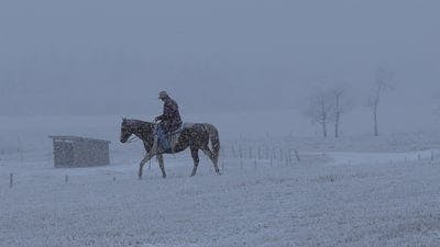 Assistir Heartland Temporada 6 Episódio 18 Online em HD