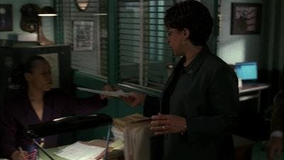 Assistir Lei & Ordem Temporada 13 Episódio 14 Online em HD