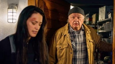 Assistir Resident Alien Temporada 1 Episódio 8 Online em HD