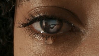 Assistir Rebirth Temporada 1 Episódio 111 Online em HD