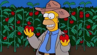 Assistir Os Simpsons Temporada 11 Episódio 5 Online em HD