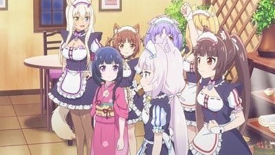Assistir Nekopara Temporada 1 Episódio 2 Online em HD