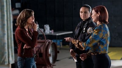Assistir Elsbeth Temporada 2 Episódio 8 Online em HD
