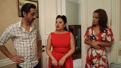 Assistir No: 309 Temporada 1 Episódio 58 Online em HD