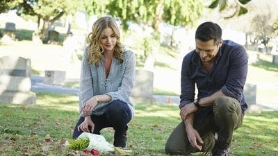 Assistir Revenge Temporada 4 Episódio 20 Online em HD