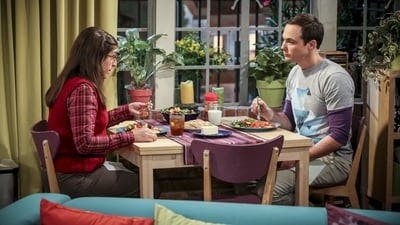 Assistir Big Bang: A Teoria Temporada 10 Episódio 6 Online em HD