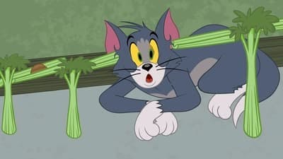 Assistir O Show de Tom e Jerry Temporada 2 Episódio 56 Online em HD