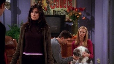 Assistir Friends Temporada 7 Episódio 8 Online em HD