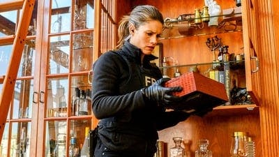 Assistir FBI Temporada 1 Episódio 17 Online em HD