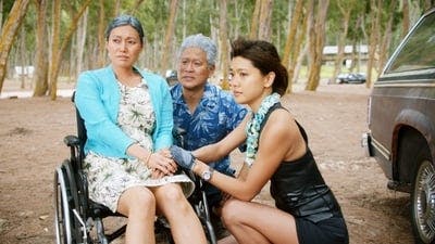 Assistir Havaí Cinco-0 Temporada 5 Episódio 23 Online em HD