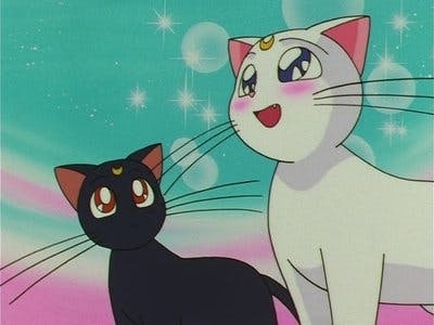 Assistir Sailor Moon Temporada 4 Episódio 6 Online em HD