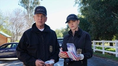 Assistir NCIS: Investigação Naval Temporada 17 Episódio 17 Online em HD