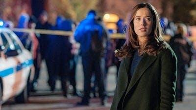 Assistir Chicago P.D.: Distrito 21 Temporada 4 Episódio 10 Online em HD