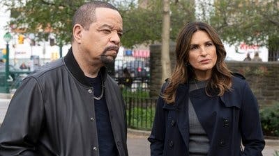 Assistir Lei & Ordem: Unidade de Vítimas Especiais Temporada 25 Episódio 12 Online em HD