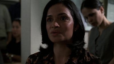 Assistir Lei & Ordem Temporada 13 Episódio 2 Online em HD