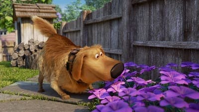 Assistir A Vida de Dug Temporada 1 Episódio 3 Online em HD