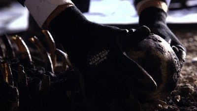 Assistir CSI: Nova York Temporada 8 Episódio 10 Online em HD