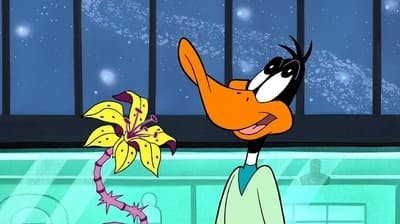 Assistir Duck Dodgers Temporada 1 Episódio 4 Online em HD