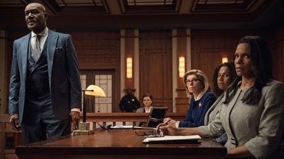 Assistir The Good Fight Temporada 3 Episódio 7 Online em HD