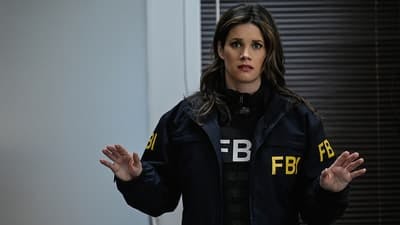 Assistir FBI Temporada 4 Episódio 14 Online em HD