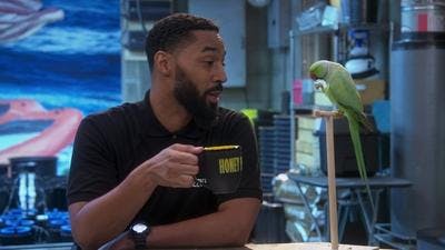 Assistir Disjointed Temporada 1 Episódio 15 Online em HD