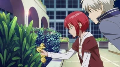 Assistir Akagami no Shirayuki-hime Temporada 1 Episódio 4 Online em HD