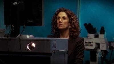 Assistir CSI: Nova York Temporada 1 Episódio 17 Online em HD