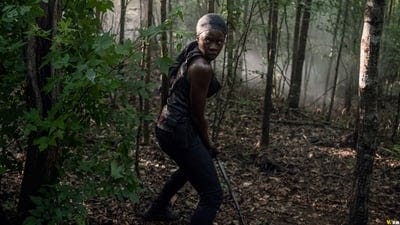 Assistir The Walking Dead Temporada 10 Episódio 13 Online em HD