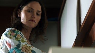Assistir CSI: Investigação Criminal Temporada 13 Episódio 15 Online em HD
