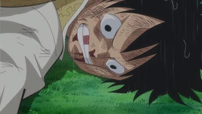 Assistir One Piece Temporada 19 Episódio 809 Online em HD