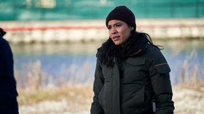 Assistir Chicago P.D.: Distrito 21 Temporada 7 Episódio 14 Online em HD