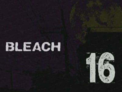 Assistir Bleach Temporada 1 Episódio 16 Online em HD