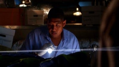 Assistir CSI: Miami Temporada 8 Episódio 17 Online em HD