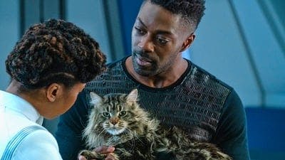 Assistir Star Trek: Discovery Temporada 3 Episódio 11 Online em HD