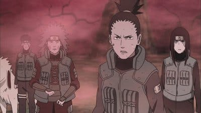 Assistir Naruto Shippuden Temporada 14 Episódio 305 Online em HD