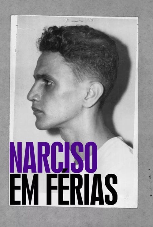 Narciso em Férias poster