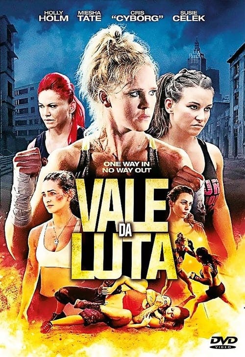 Vale da Luta poster