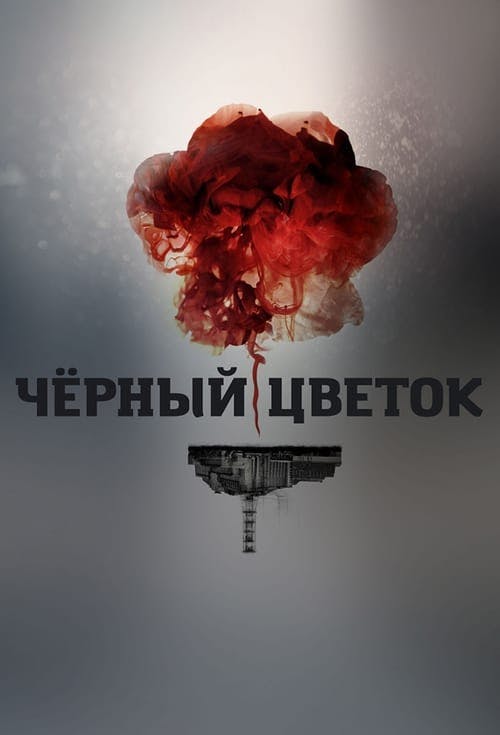 Assistir Depois de Chernobyl Online