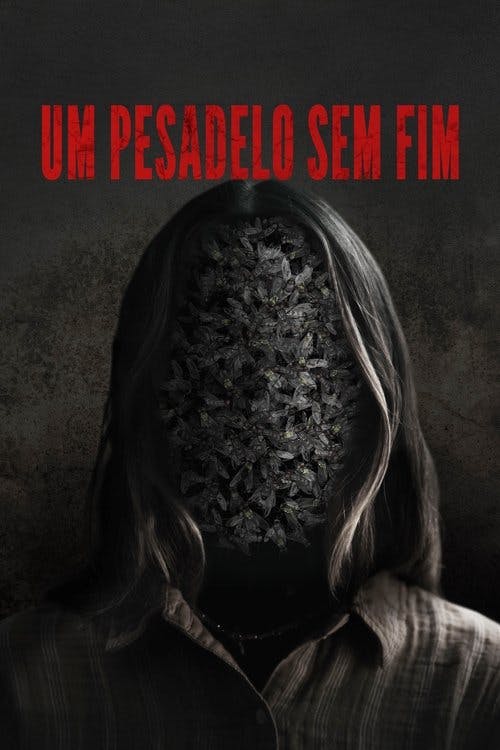 Um Pesadelo Sem Fim poster