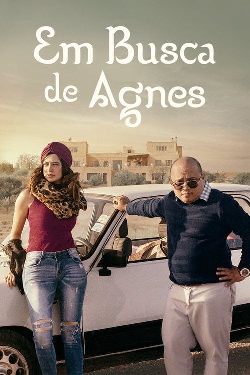Em Busca de Agnes poster