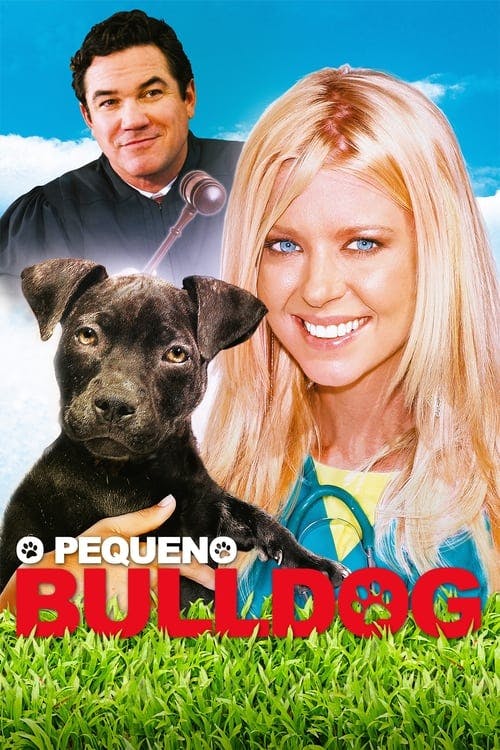 O Pequeno Bulldog poster