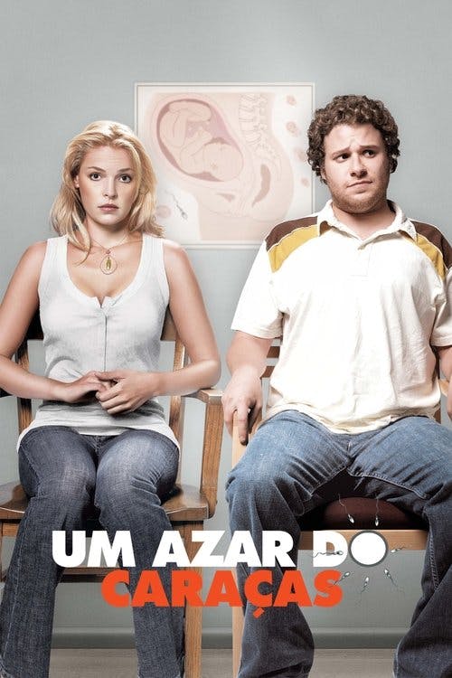 Ligeiramente Grávidos poster