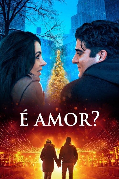 É Amor? poster