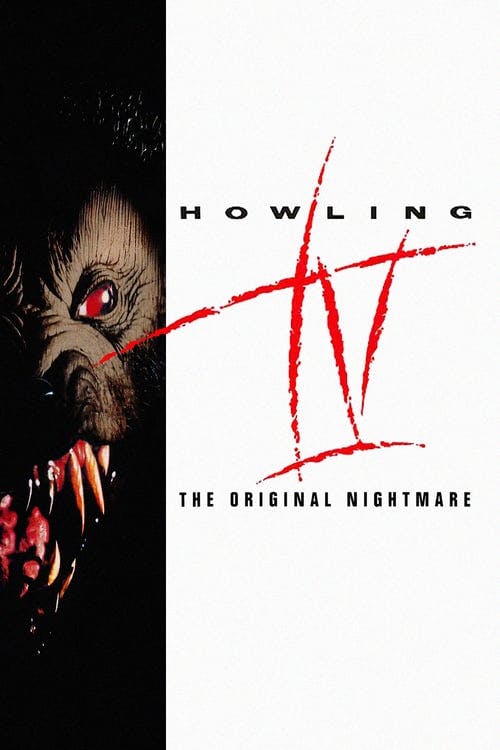 Grito de Horror 4: Um Arrepio na Noite poster