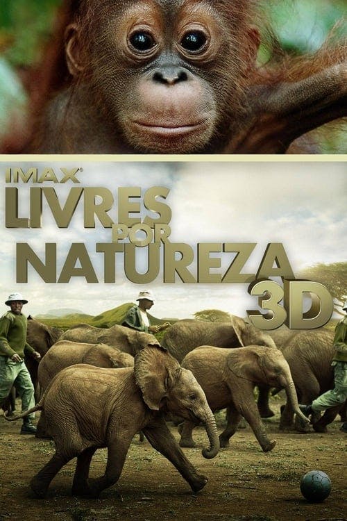 Livres por Natureza poster