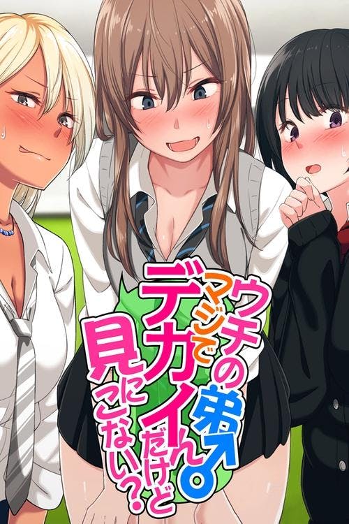 Uchi no Otouto Maji de Dekain Dakedo Mi ni Konai? poster