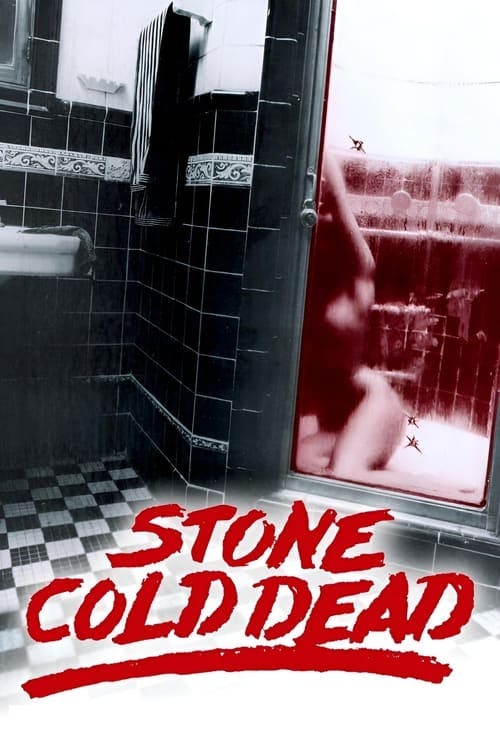 A Morte Fria poster