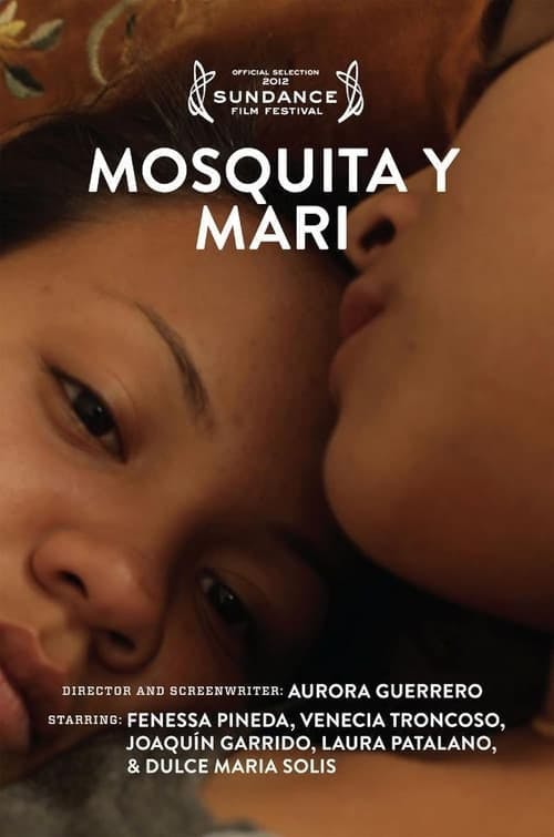 Entre Amores e Descobertas poster