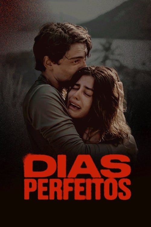 Dias Perfeitos poster