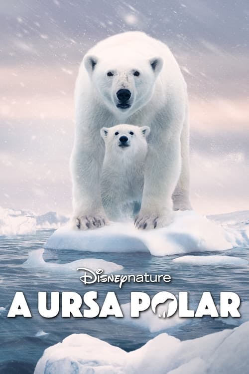 A Ursa Polar poster